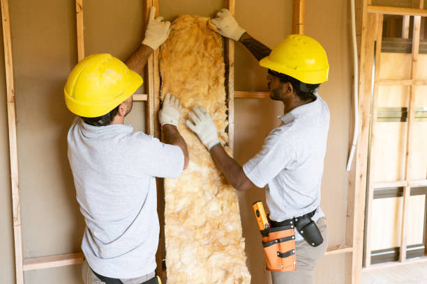 Best Insulation Removal  in Indian River Estates, FL